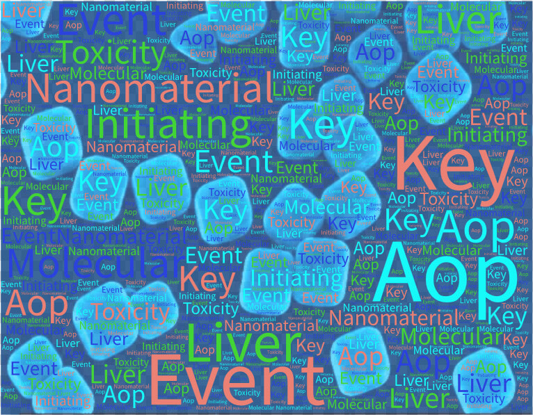 Understanding Nanomaterial Toxicity By Leveraging Mechanistic   Poster  HD Png DownloadTransparent PNG