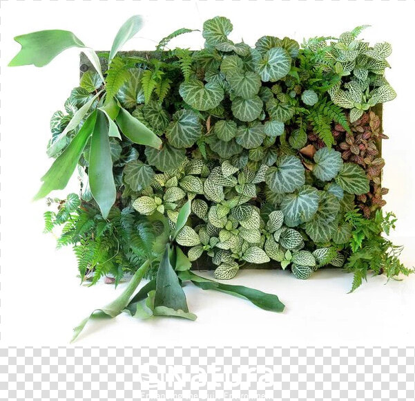 Green Wall Panel System   Corner Vertical Garden System  HD Png DownloadTransparent PNG