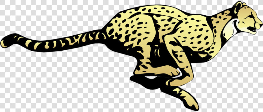 Cheetah  Running  Speed  Animal  Fast  Mammal  Spots   Figurative Language Worksheets For Grade 7  HD Png DownloadTransparent PNG