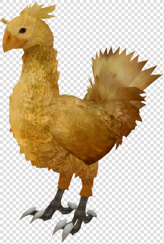 C Chocobo Ffxiii Render   Final Fantasy Chocobo Render  HD Png DownloadTransparent PNG