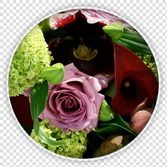 Bouquets  amp  Flowers   Floribunda  HD Png DownloadTransparent PNG