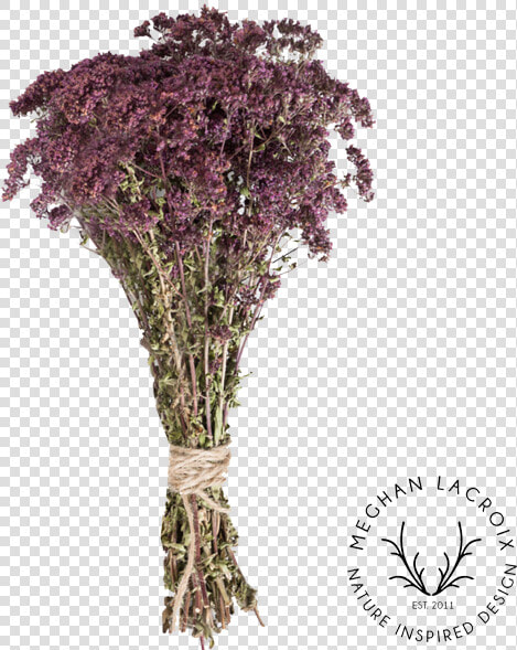 Preserved Greek Oregano   Artificial Flower  HD Png DownloadTransparent PNG