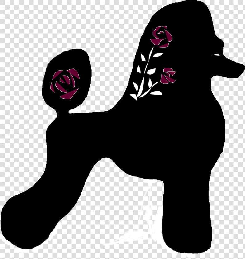 Rose City Standard Poodles   Standard Poodle  HD Png DownloadTransparent PNG