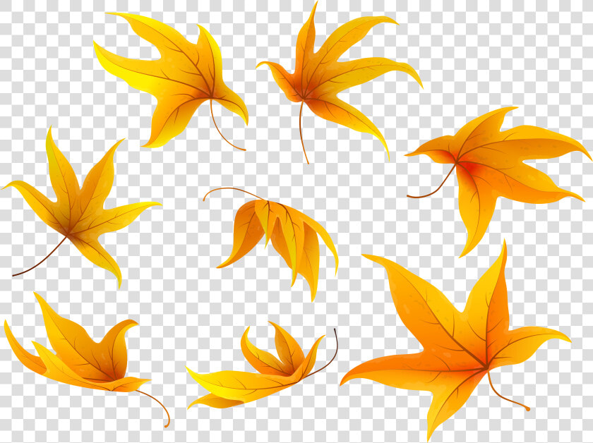 Clipart Butterfly Autumn   Portable Network Graphics  HD Png DownloadTransparent PNG