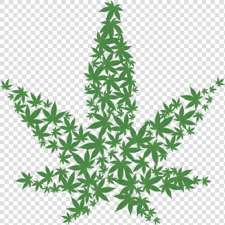 Marihuana  Drogas  Prohibido  Cáñamo  Ilegal   Weed Print  HD Png DownloadTransparent PNG