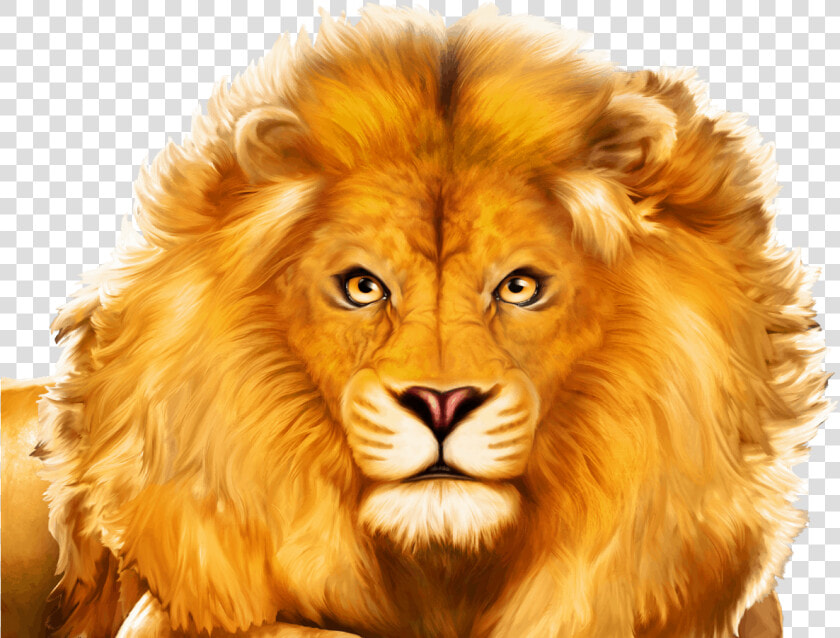 African Stampede™   Masai Lion  HD Png DownloadTransparent PNG