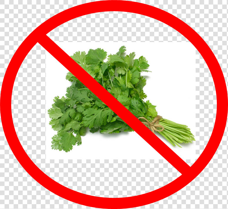 Say No To Cilantro   Coriander Leaves  HD Png DownloadTransparent PNG