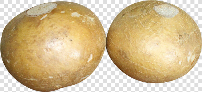 Jicama   Jicama Png Transparent  Png DownloadTransparent PNG