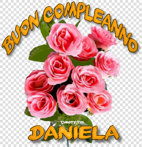 Buon Compleanno Daniela  HD Png DownloadTransparent PNG