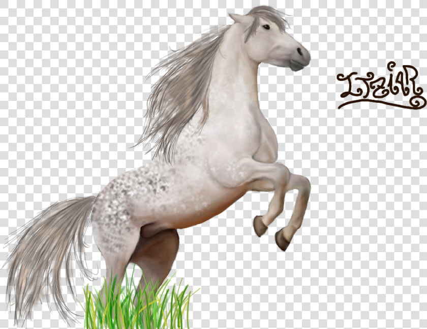 Thumb Image   Imagenes De Caballos En Png  Transparent PngTransparent PNG