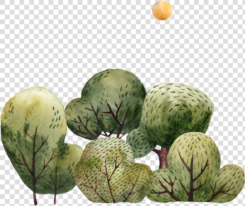 Pintado A Mano De Dibujos Animados Arboles Png Transparente   Watermelon  Png DownloadTransparent PNG