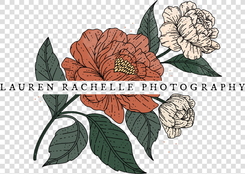 Lauren Rachelle Wedding Photography   Illustration  HD Png DownloadTransparent PNG