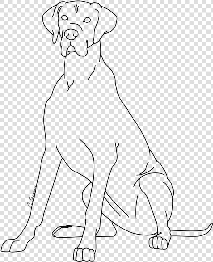 Great Dane Coloring Page   Line Art  HD Png DownloadTransparent PNG