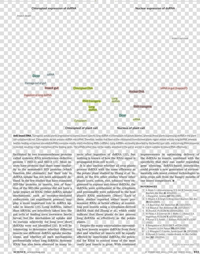 Document  HD Png DownloadTransparent PNG