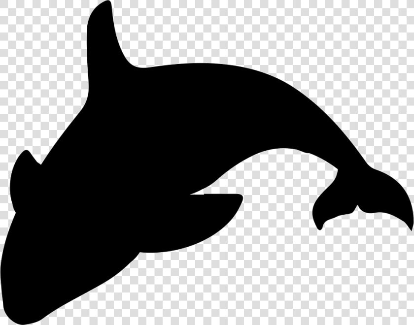 Killer Whale Silhouette Clip Art   Orca Silhouette Png  Transparent PngTransparent PNG