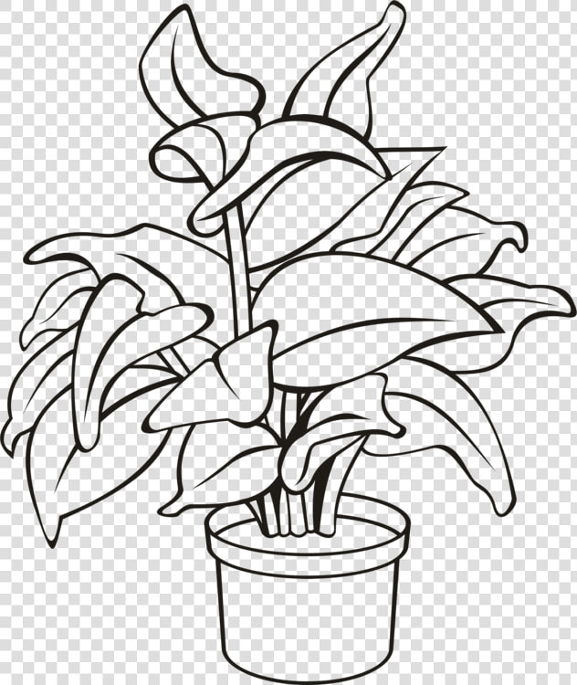 Flowerpot Houseplant Plants Leaf Cc0   Potted Plant Line Drawing  HD Png DownloadTransparent PNG