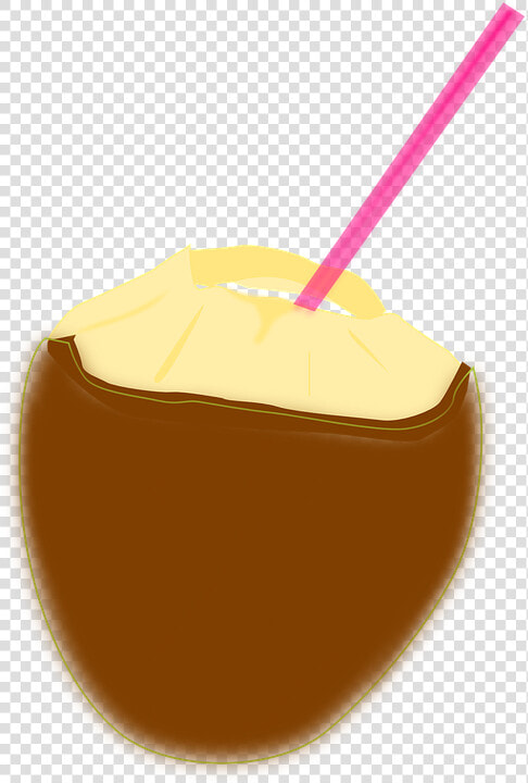 Coconut  Coconut Milk  Tropical Drink  Beverage  Straw   Drink  HD Png DownloadTransparent PNG