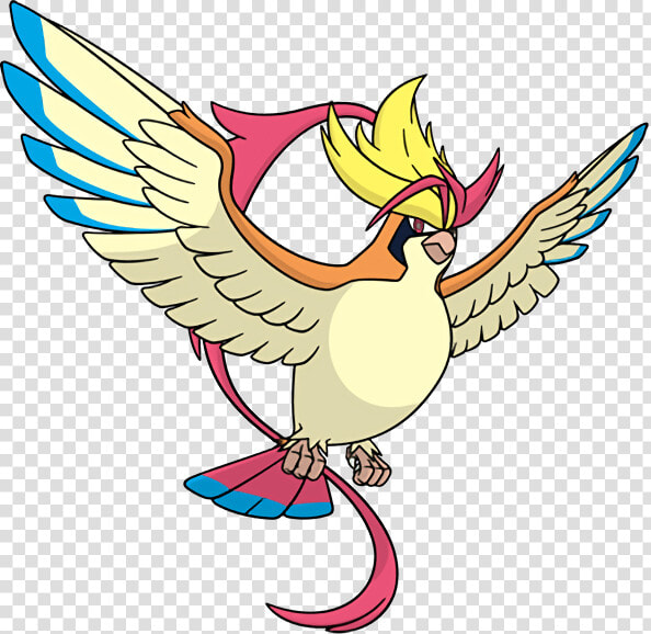 Official Global Link Art Of All The New Megas And Primals   Pokemon Mega Pidgeot  HD Png DownloadTransparent PNG