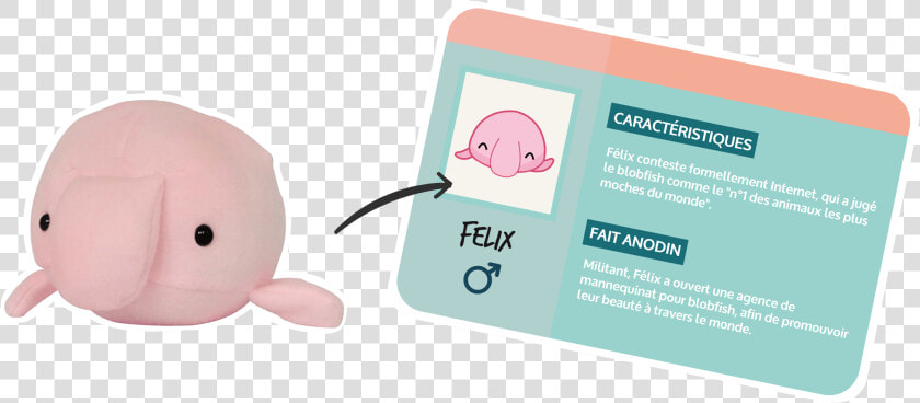 Banniere Blobfish   Baby Toys  HD Png DownloadTransparent PNG