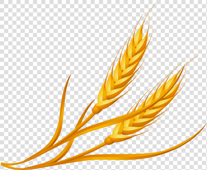 Wheat Clipart Png Image Free Download Searchpng   Cartoon Wheat Png  Transparent PngTransparent PNG