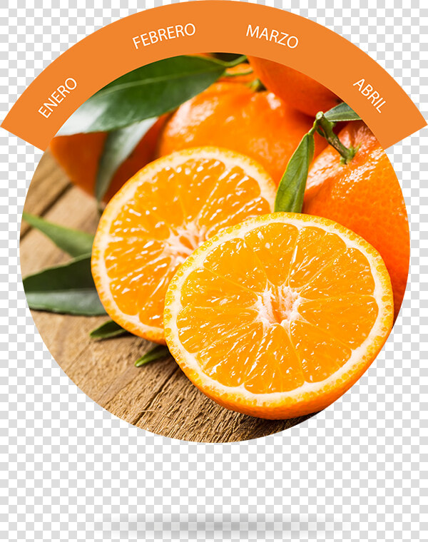 Rangpur mandarin Orange valencia Orange citric Foods vegetarian   Alimentos Que Ajudam Na Respiracao  HD Png DownloadTransparent PNG