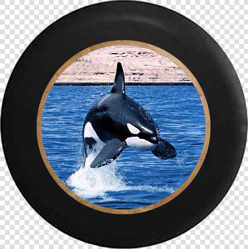 Killer Whale Orca Jumping In The Ocean Rv Camper Spare   Orca  HD Png DownloadTransparent PNG