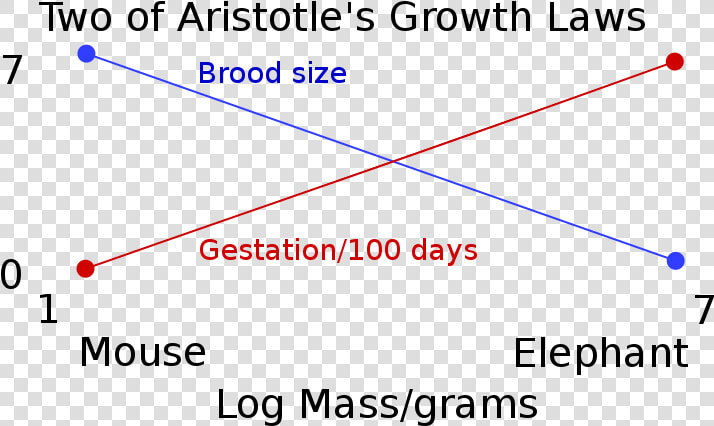 Two Of Aristotle S Growth Laws   Aristotle Experiment  HD Png DownloadTransparent PNG