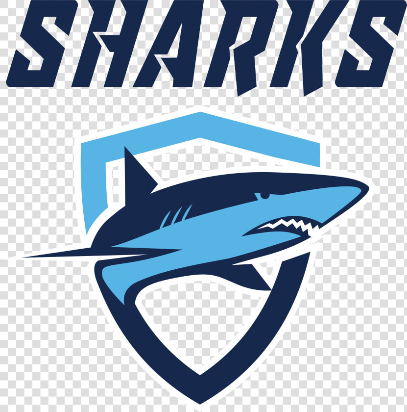 Sharks Swim Club   Sharks Swimming Club  HD Png DownloadTransparent PNG