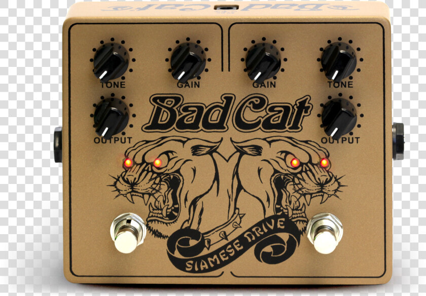 Bad Cat Siamese Drive  HD Png DownloadTransparent PNG