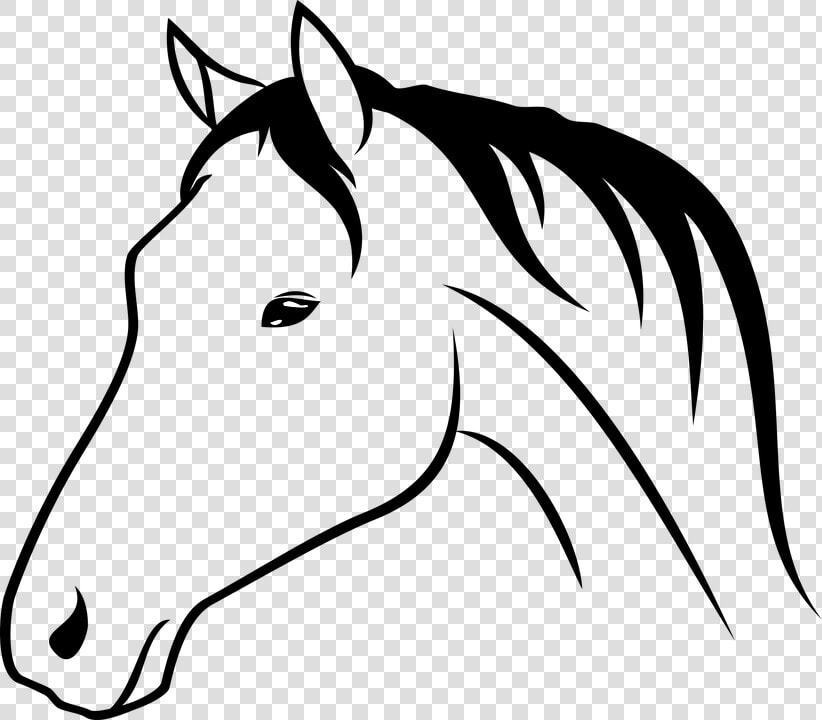 Bra Animal Horse Head   Horse Head Drawing Png  Transparent PngTransparent PNG