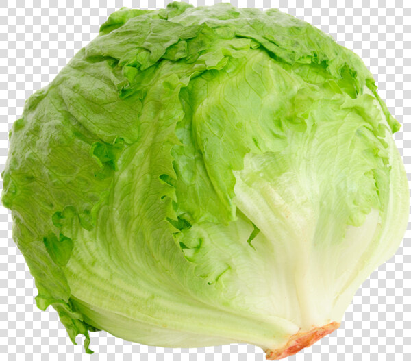 Iceberg Lettuce Romaine Lettuce Blt Red Leaf Lettuce   Head Of Lettuce  HD Png DownloadTransparent PNG