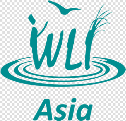 Wetland Link International  HD Png DownloadTransparent PNG