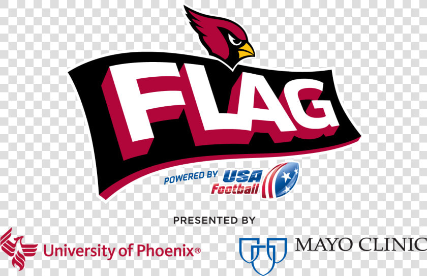 Arizona Cardinals Nfl Flag   Arizona Cardinals  HD Png DownloadTransparent PNG