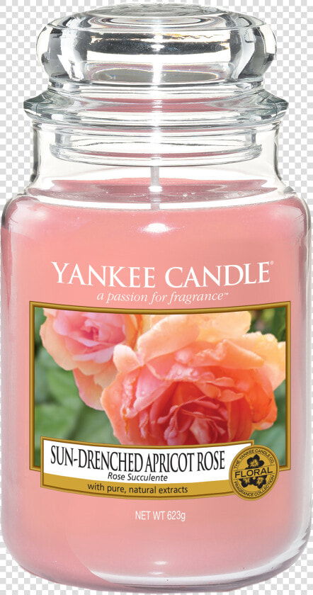 Sun Drenched Apricot Rose Yankee Candle  HD Png DownloadTransparent PNG