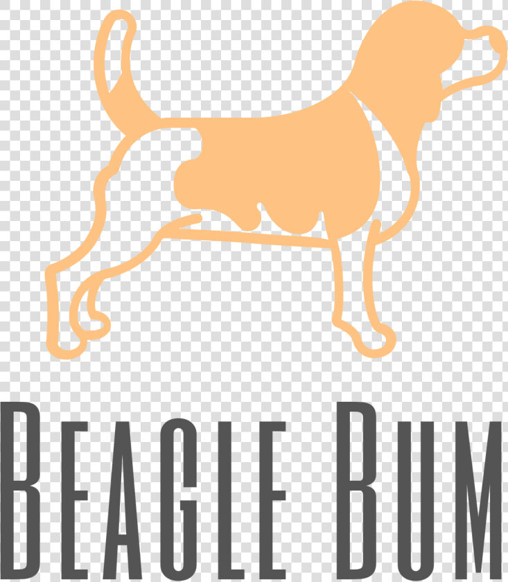 Original On Transparent   Beagle  HD Png DownloadTransparent PNG