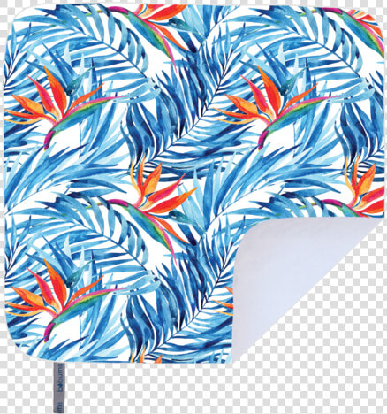 Microfibre Printed Beach Blanket   Board Short  HD Png DownloadTransparent PNG