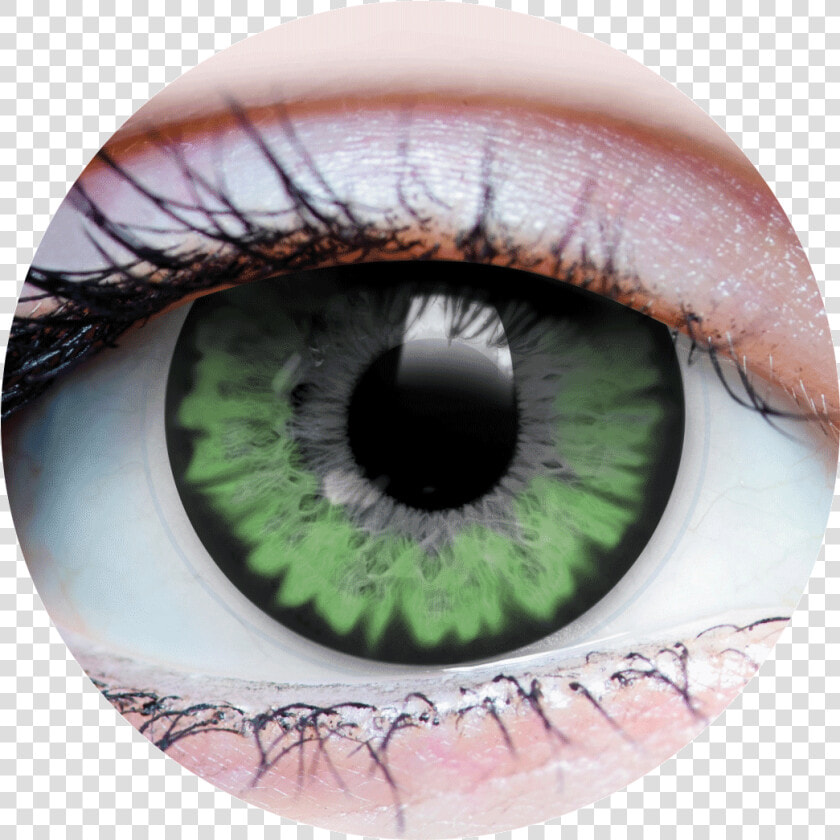 Contact Lenses Jurassic  HD Png DownloadTransparent PNG