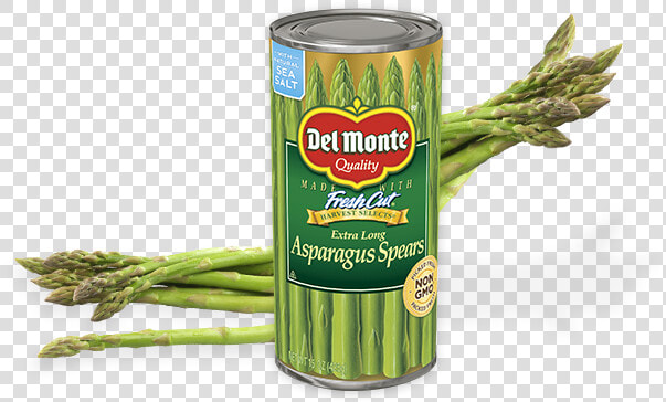 Extra Long Asparagus Spears   Monte  HD Png DownloadTransparent PNG