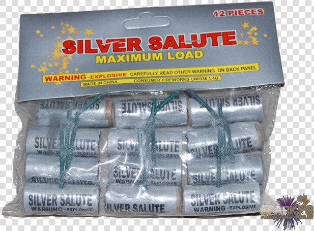 Silver Salute Title Silver Salute Itemprop Image   M 100 Silver Salutes  HD Png DownloadTransparent PNG