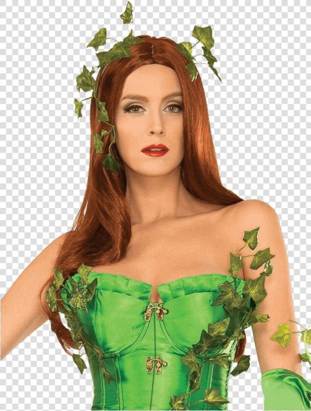 Secret Wishes Adult Poison Ivy Wig   Adult Poison Ivy Costume  HD Png DownloadTransparent PNG