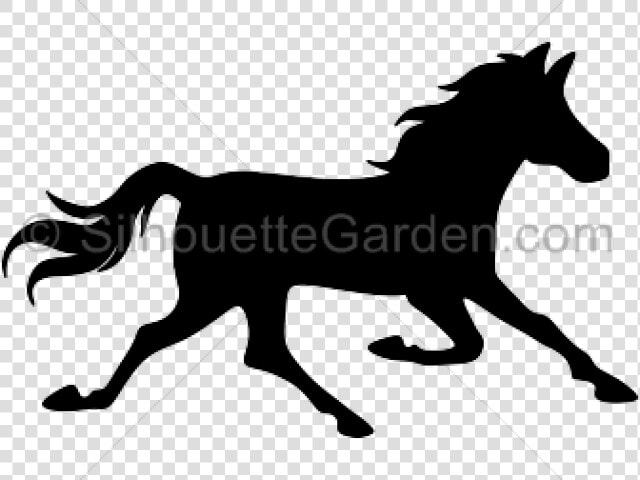 Horses Running Silhouette   Horses Cricut  HD Png DownloadTransparent PNG