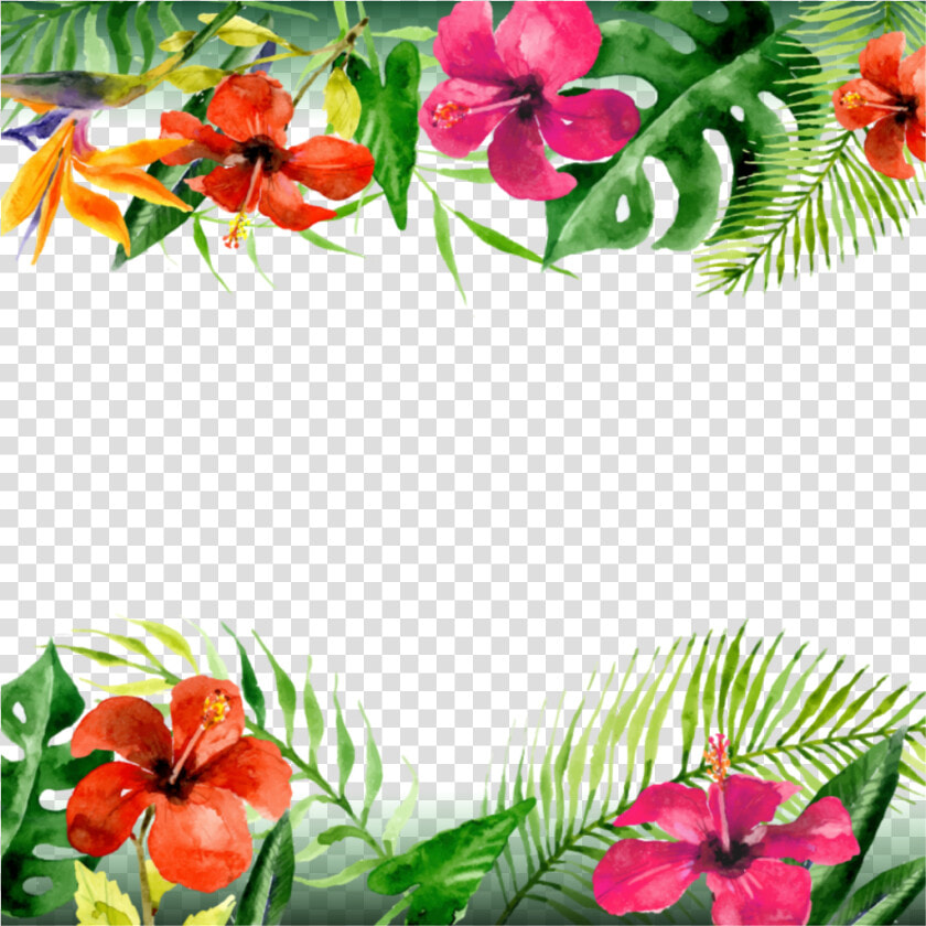  mq  flowers  flower  tropical  border  borders   Tropical Flowers Border Png  Transparent PngTransparent PNG