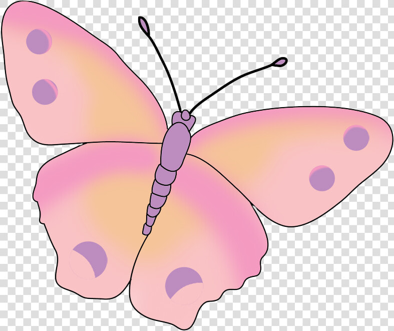 Pink Colored Butterfly Image   Beautiful Light Pink Butterfly  HD Png DownloadTransparent PNG