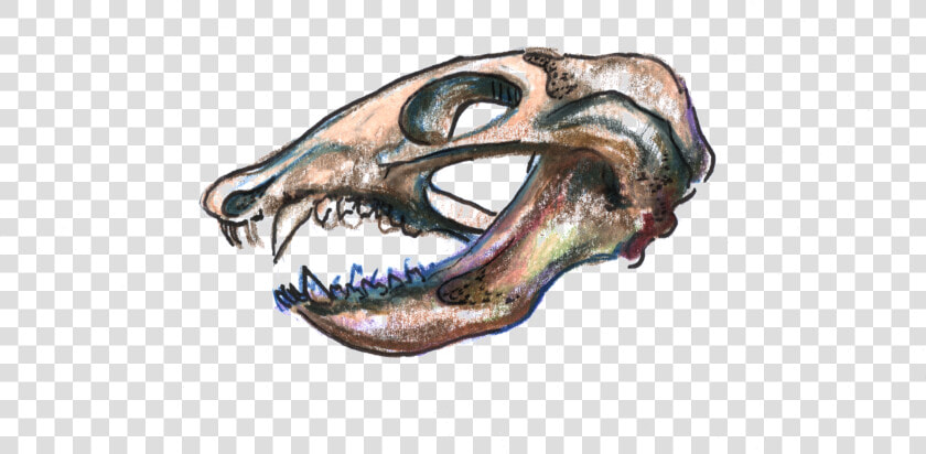 Lesothosaurus  HD Png DownloadTransparent PNG