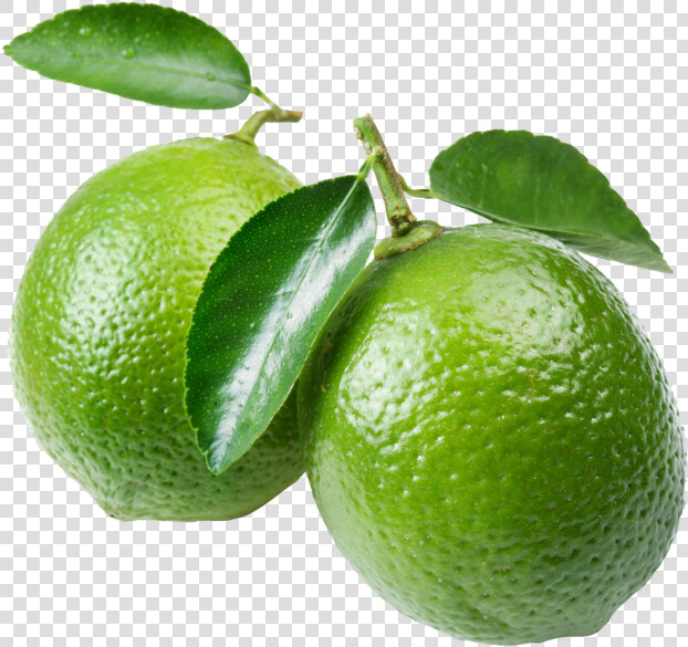 Transparent Lime Slice Png   Cavity In Real Life  Png DownloadTransparent PNG