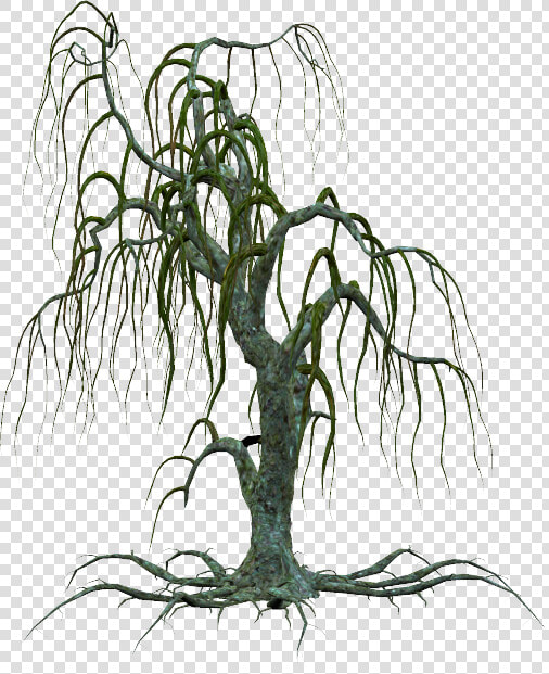 Arbre  Tube  Png  Feuilles  Paysage   Creepy Dead Tree Silhouette  Transparent PngTransparent PNG