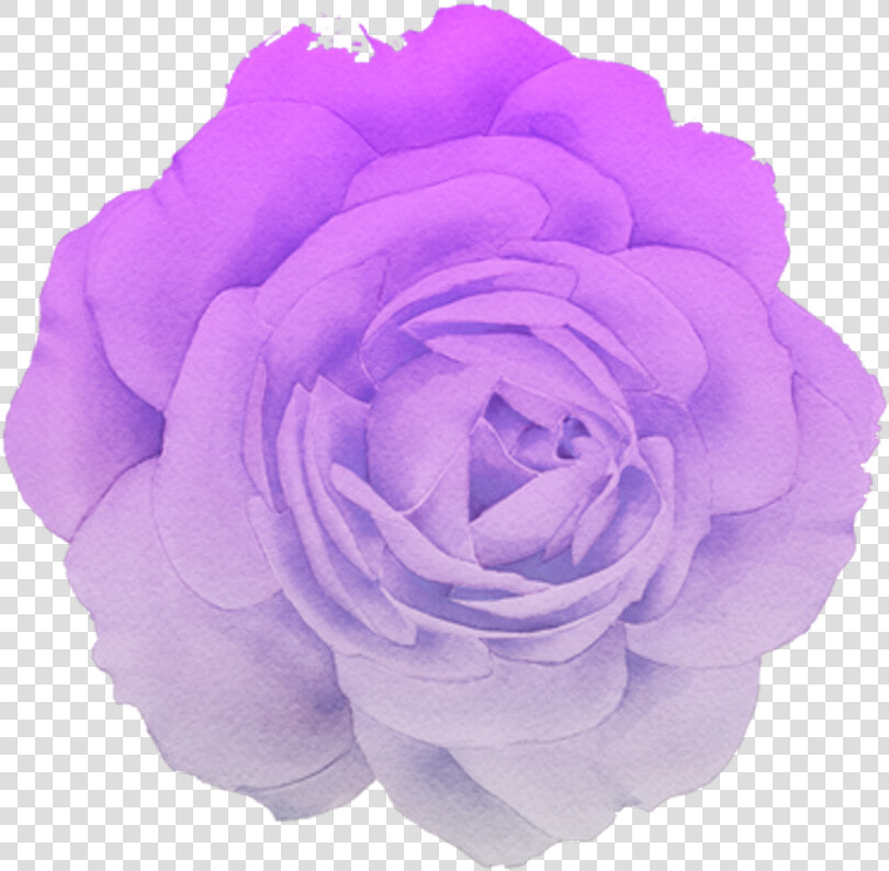  flower  rose  blume  purple  pastel  pink  white  trend   Aesthetic Purple Flower Png  Transparent PngTransparent PNG