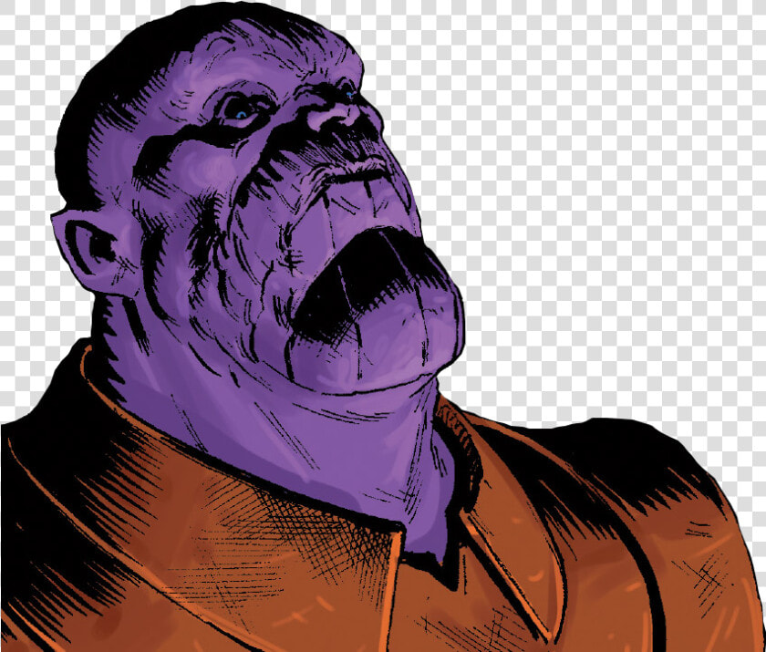 View Samegoogleiqdbsaucenao Thanos Has Seen Some Shit  HD Png DownloadTransparent PNG