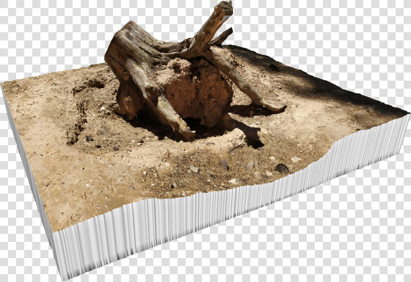 Tree Stump Png  Transparent PngTransparent PNG