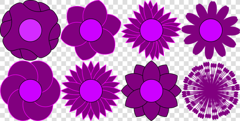 Pattern  Flower  Floral  Bloom  Violet  HD Png DownloadTransparent PNG